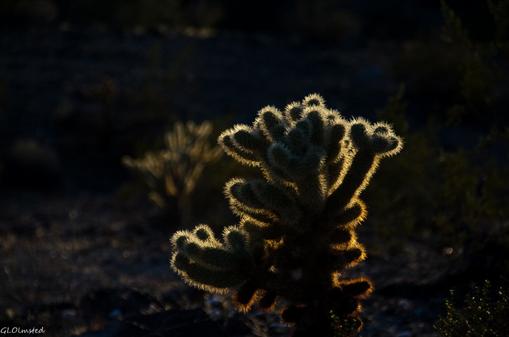 geogypsytraveler.com_wp-content_uploads_2015_02_06-dsc_4872lerw-last-light-on-cholla-dome-rock-quartzsite-az-g-1024x678-2.jpg